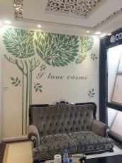 Wall art paint