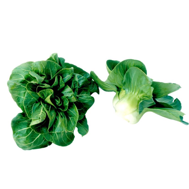 Imitation Wool Roller