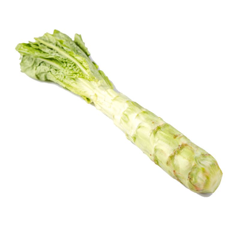 Fine White Paint Roller